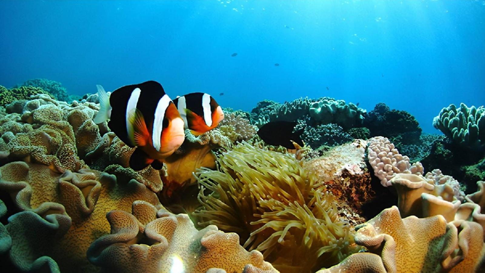 Rizozaizen Motobu B Villa Ngoại thất bức ảnh